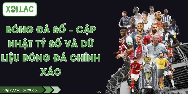 Bóng Đá Số – Cập Nhật Tỷ Số Và Dữ Liệu Bóng Đá Chính Xác 1 Bóng Đá Số – Cập Nhật Tỷ Số Và Dữ Liệu Bóng Đá Chính Xác