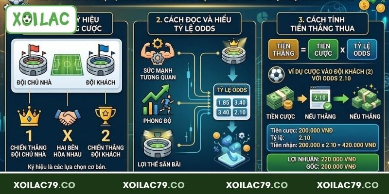 Cách đọc cược Châu Âu dễ hiểu cho người mới