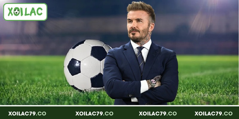 Tiểu Sử David Beckham - Hành Trình Thi Đấu Phi Thường 4 Danh hiệu nổi bật trong sự nghiệp của Beckham