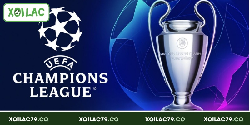 Khái quát về Cup C1