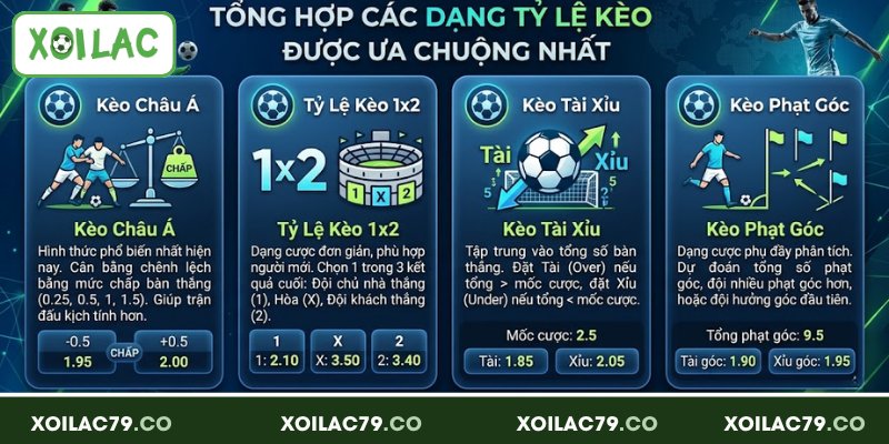 Tỷ Lệ Kèo - Cập Nhật Chuẩn Xác, Phân Tích Chi Tiết Mỗi Ngày 3 Tổng hợp các dạng tỷ lệ kèo được ưa chuộng nhất
